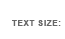 Text Size